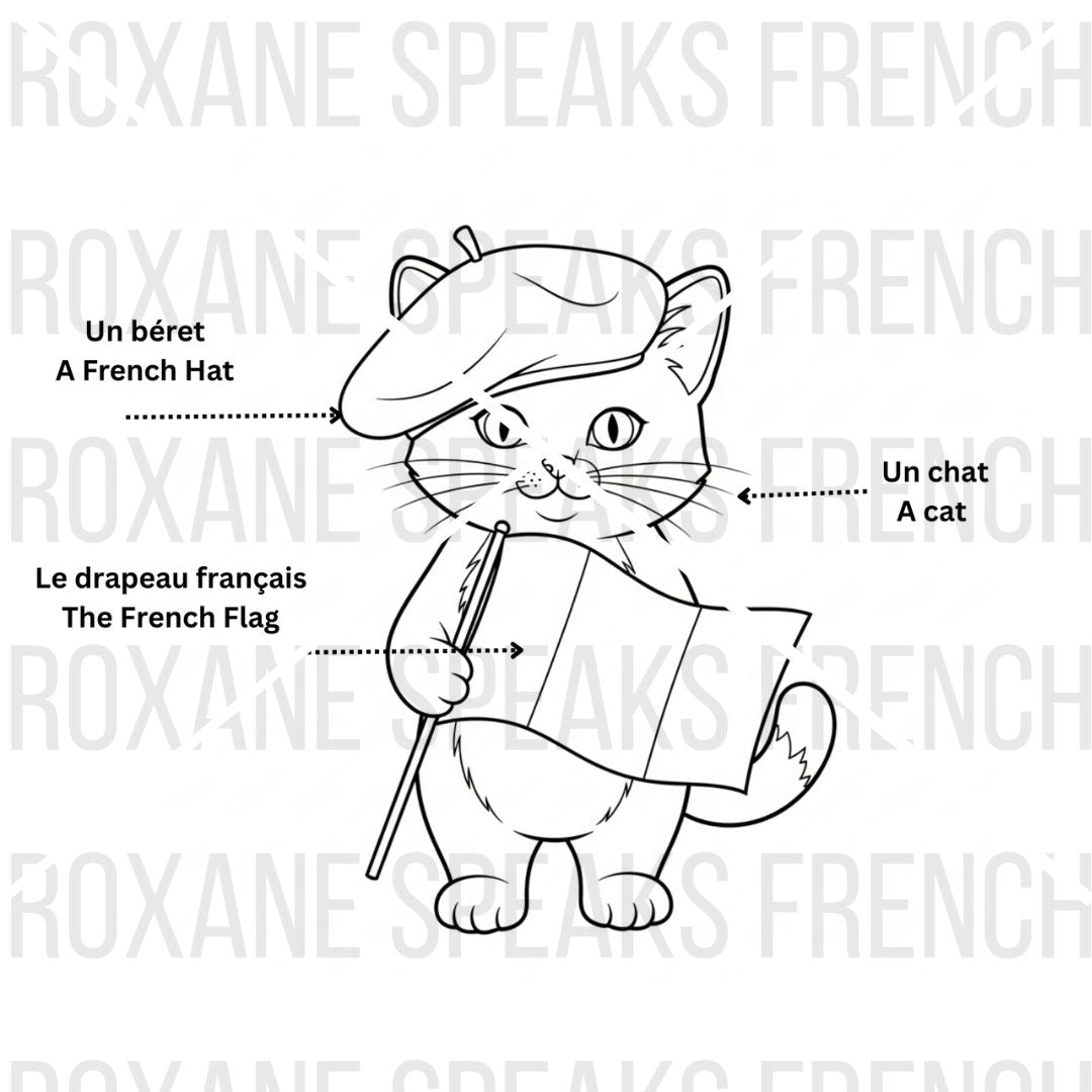 Cartoon cat holding a French flag with text about a French hat and cat, on a white background with 'Roxane Speaks French' text.