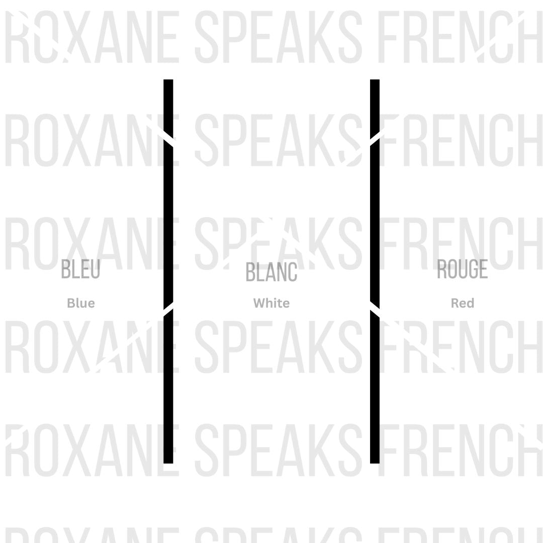 Three vertical lines labeled 'BLEU', 'BLANC', and 'ROUGE' french flag worksheet with 'ROXANE SPEAKS FRENCH' text.