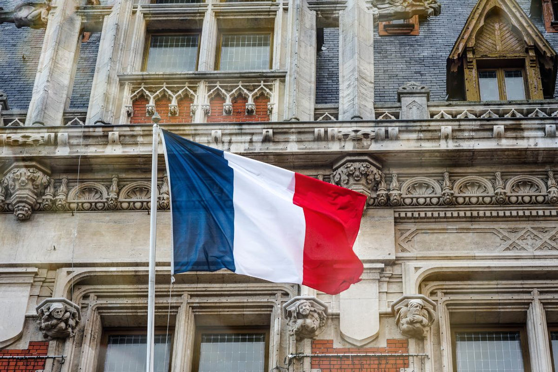 french flag in front of a old building