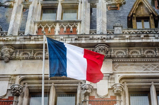 french flag in front of a old building