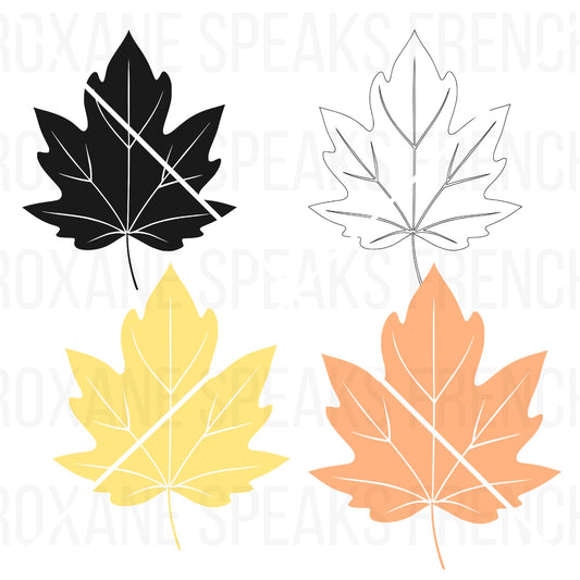 Autumn leaf clipart bundle showing four styles of a maple-like leaf: black silhouette, black outline, solid yellow and solid orange.