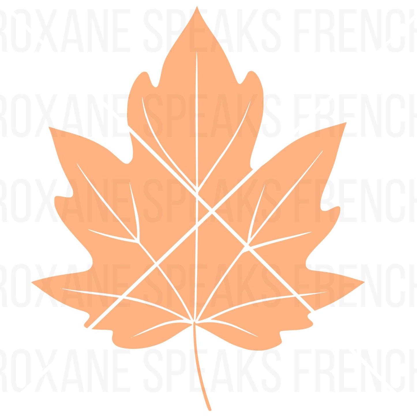 Autumn maple-style leaf clipart in a solid vibrant orange color with white vein details.