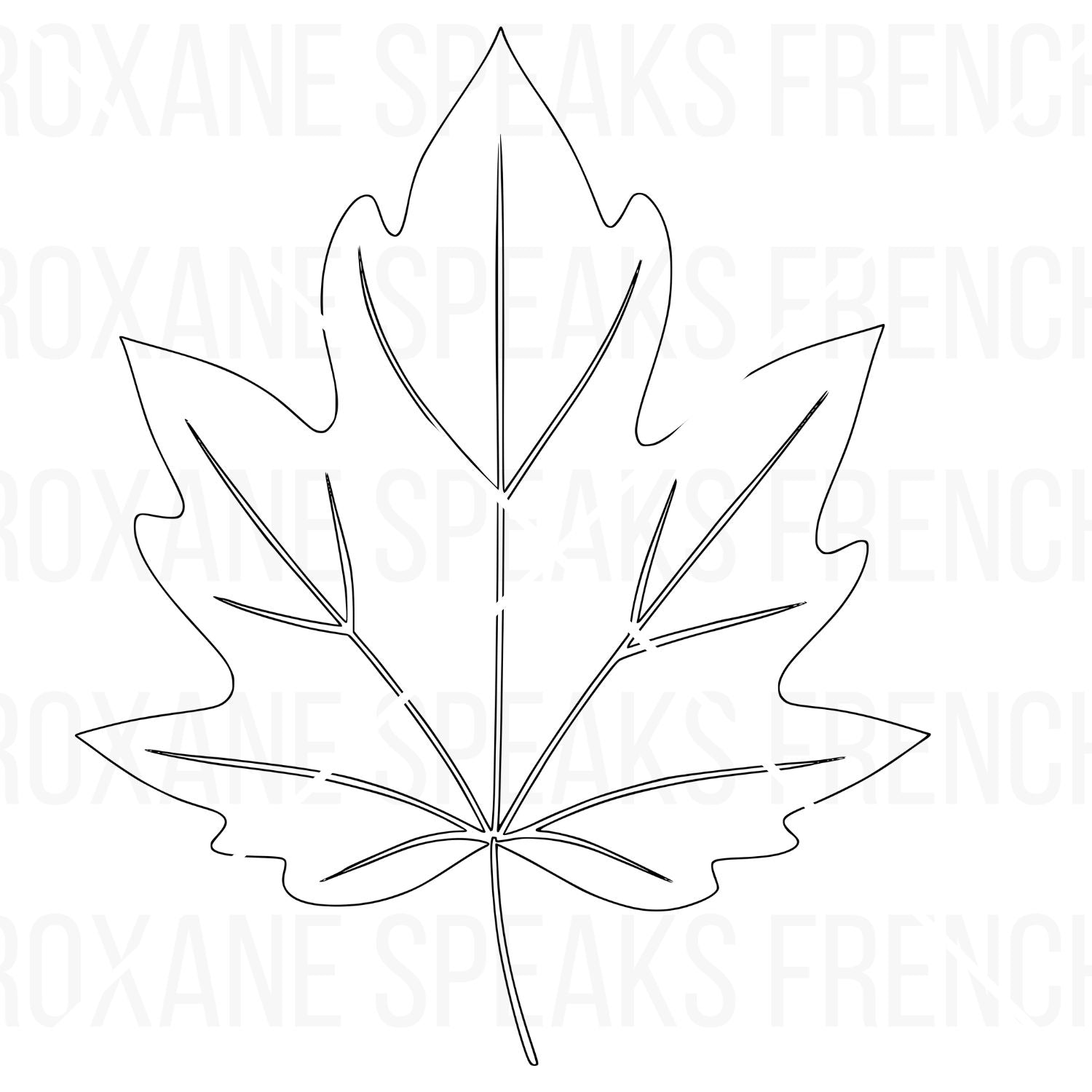 Black outline autumn leaf clipart showing a maple-style leaf with detailed vein lines.