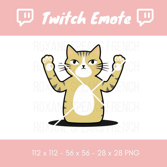 A Twitch emote featuring a cartoon cat with a surprised expression, standing with its paws raised.