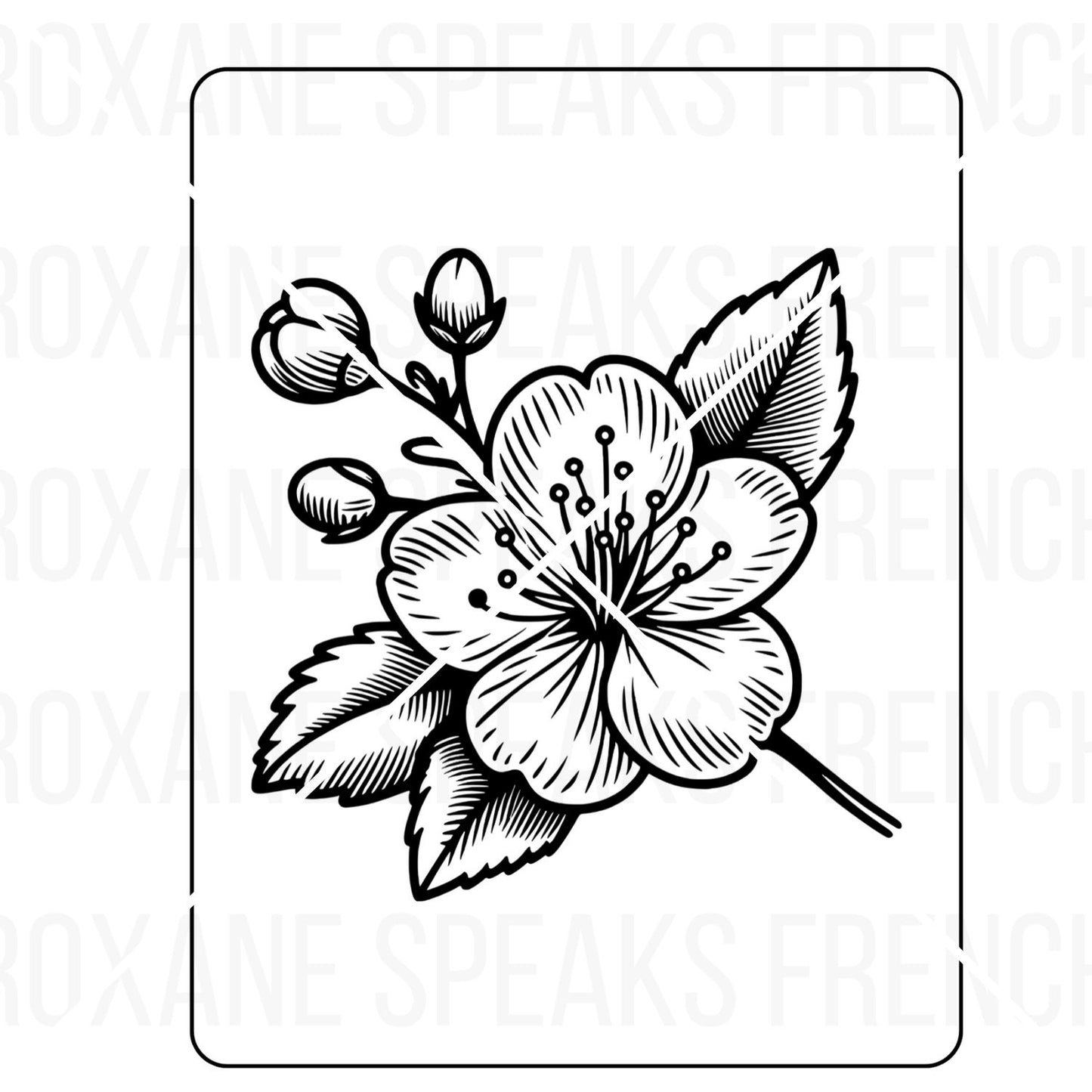 Cherry Blossom Flower Coloring Page With Bold Outlines