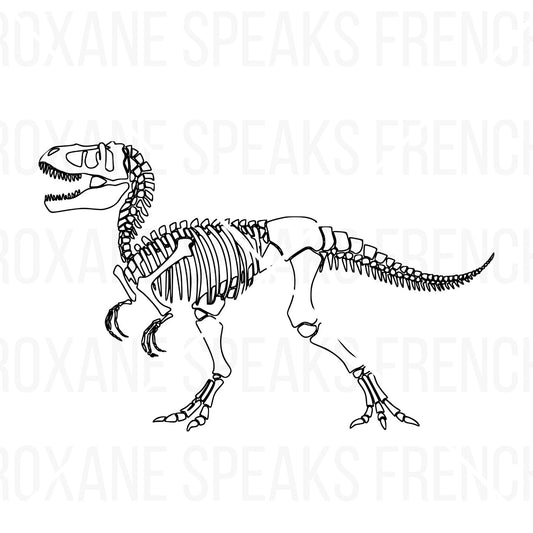 Detailed T-Rex dinosaur skeleton outline clipart - black line art SVG and PNG for coloring or crafts