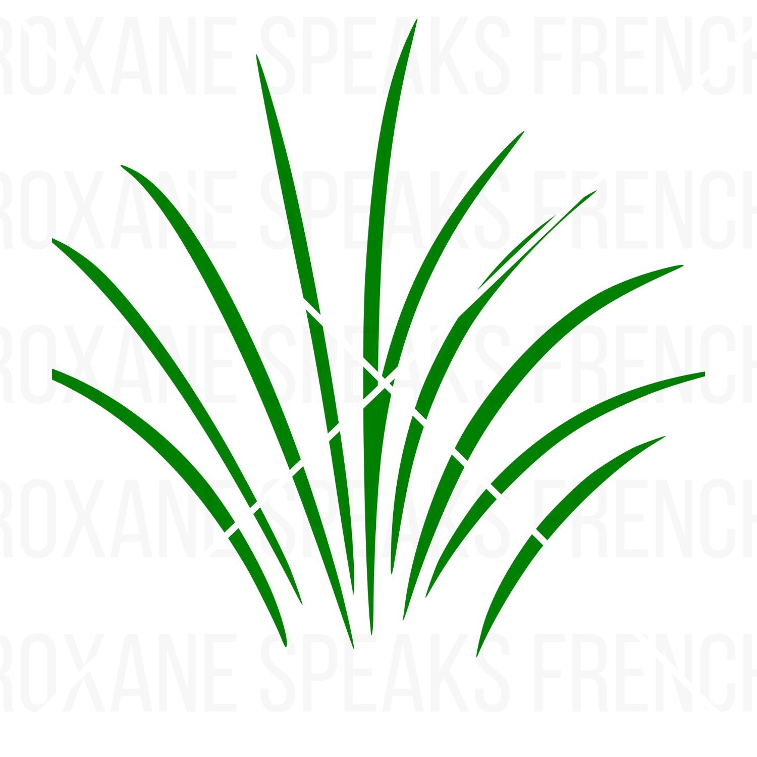 Vibrant green grass clipart showing a lush tuft of grass with broad blades and subtle white highlights.
