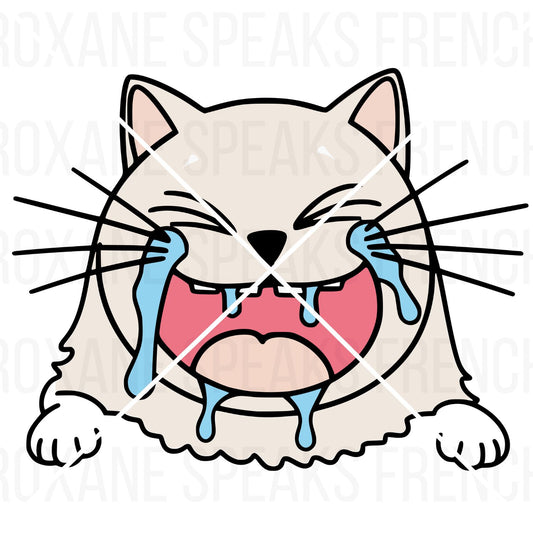 A Twitch emote depicting a cartoon cat in a hysterical laughing pose with tears streaming from its eyes, symbolizing an exaggerated response to humor on stream. The cat's wide, grinning mouth and squinted eyes enhance its comical expression, set against a simple pink background, labeled with the text "Twitch Emote.