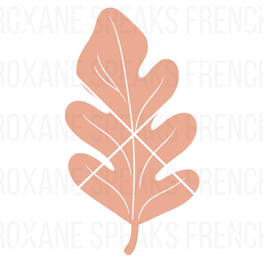  a clean peach leaf silhouette SVG. This minimalist, solid-shape icon is a high-quality cut file and transparent PNG, perfect for logos, bold decals, and graphic design.