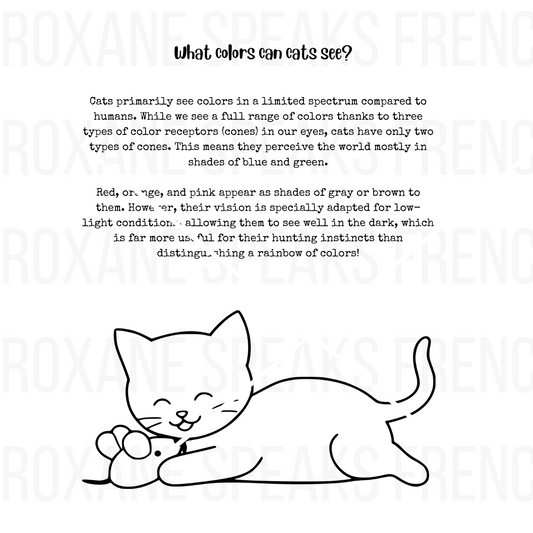 "What Colors Can Cats See?" coloring page featuring an adorable cat holding a toy mouse, designed to educate kids about feline vision while providing a fun and creative activity.