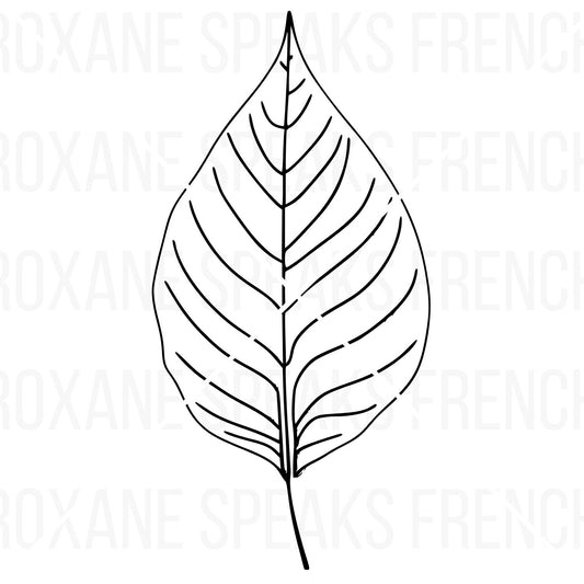Elegant and realistic black and white leaf clipart on white background