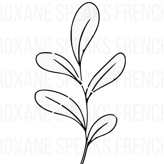  clean and simple leaf outline SVG. This minimalist botanical clipart is a high-quality cut file and transparent PNG, perfect for logos, decals, and nature-themed crafts.
